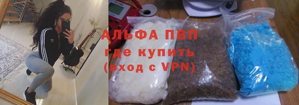 PSILOCYBIN Балахна
