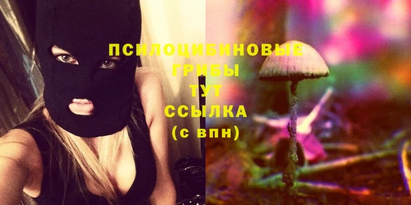 PSILOCYBIN Балахна